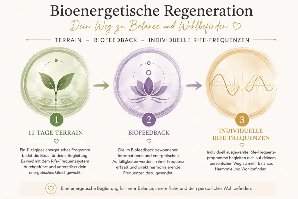 Bioenergetische Regeneration - die 3 Stufen